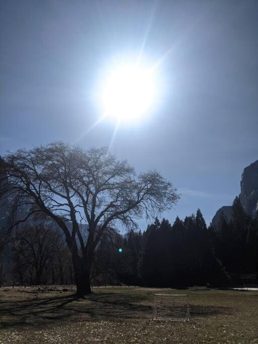 Stargazing Views. Telescope, Propane Fire Pit Hébergement de vacances Ahwahnee